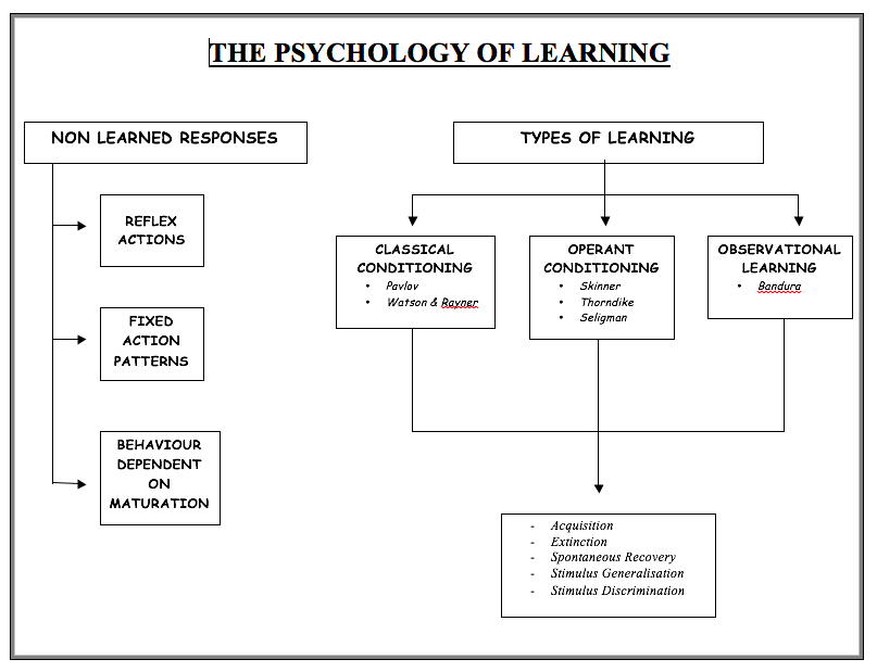 Learning - Ms Shattock's stage 2 psychology